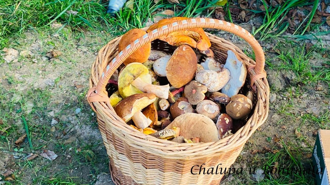 Chalupa U Bohumila Rybna nad Zdobnici Екстер'єр фото