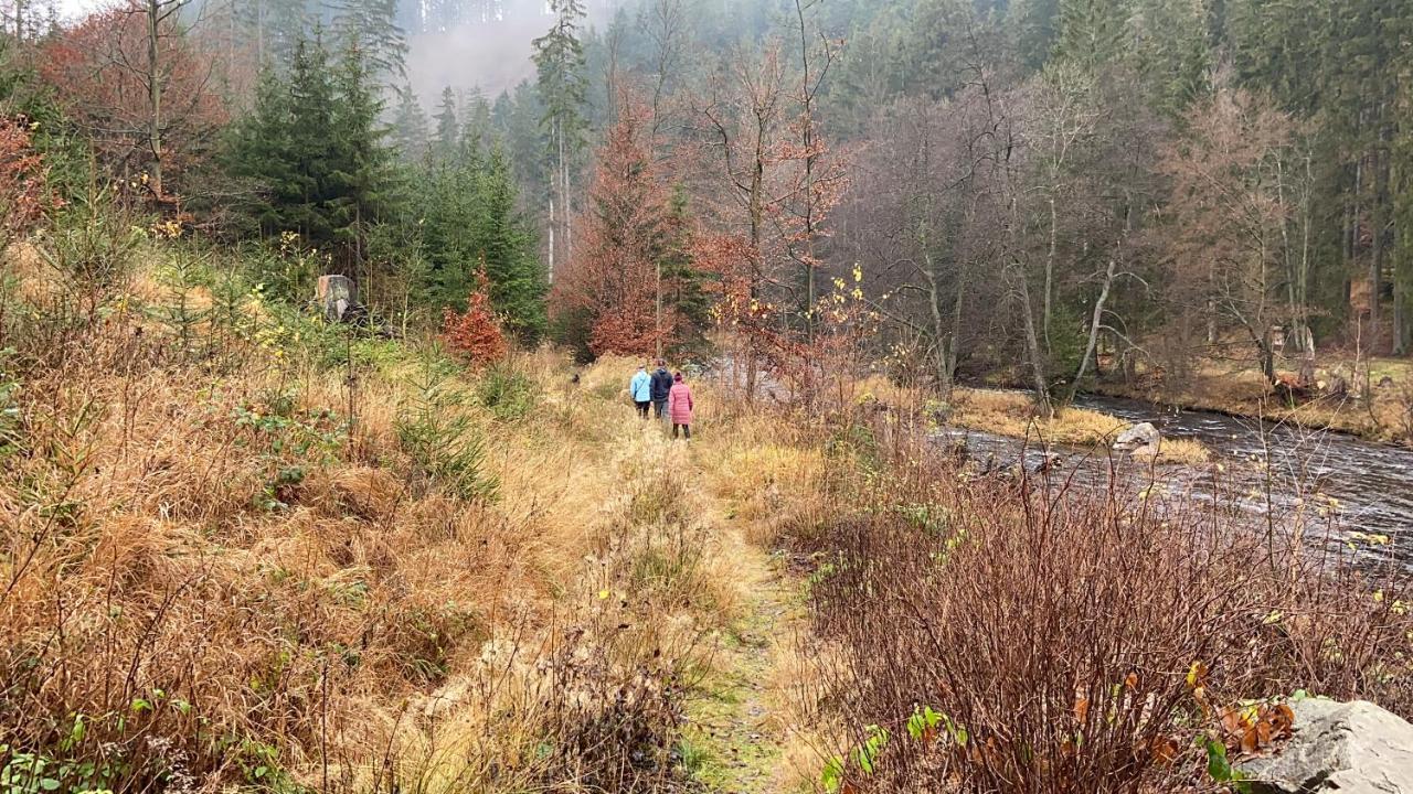 Chalupa U Bohumila Rybna nad Zdobnici Екстер'єр фото