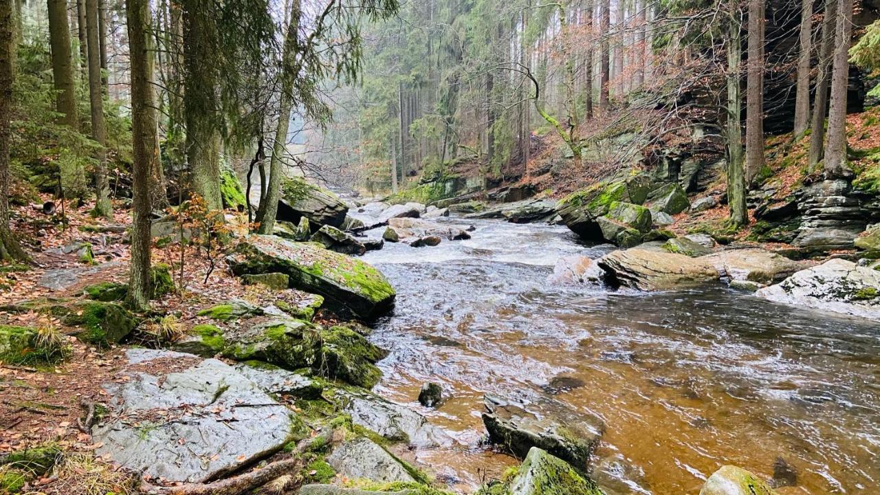 Chalupa U Bohumila Rybna nad Zdobnici Екстер'єр фото